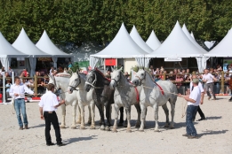 Photo de l'actualité