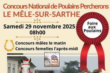 Foire aux poulains et vente aux enchères Mêle su...