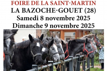 Foire aux poulains et hongres percherons à la Baz...