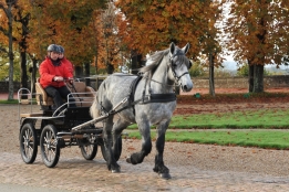 Photo de l'actualité