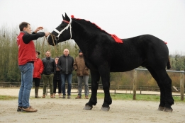 Photo de l'actualité