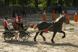 Photo de l'actualité