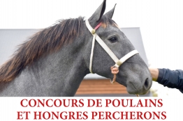 Photo de l'actualité