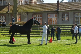 Photo de l'actualité