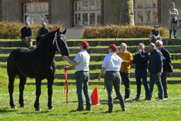 Photo de l'actualité