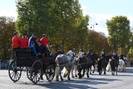 Photo de l'actualité