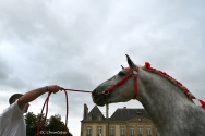 Photo de l'actualité