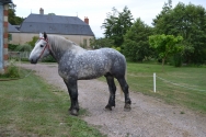 Photo de l'actualité