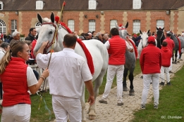 Photo de l'actualité