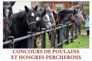 Photo de l'actualité