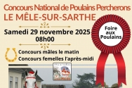 Photo de l'actualité