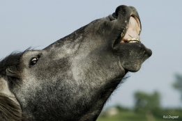 Photo de l'actualité