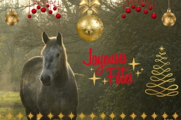 Photo de l'actualité