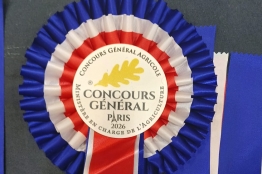 Photo de l'actualité