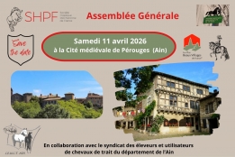 Photo de l'actualité