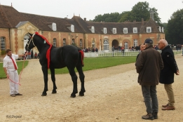 Photo de l'actualité