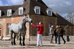 Photo de l'actualité