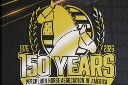 Photo de l'actualité